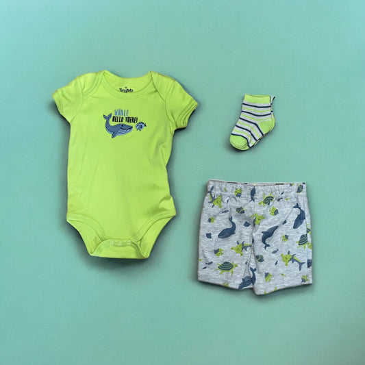 Conjunto TinyTots